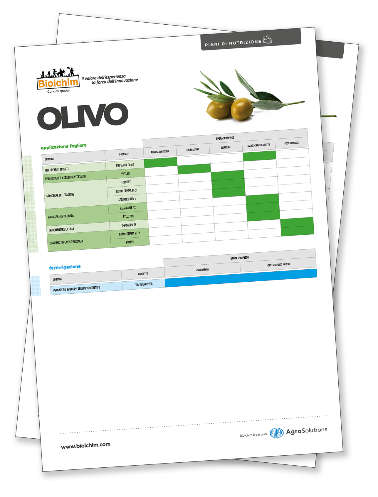 Biolchim at “Olivo in Campo”: Innovations in Olive Nutrition