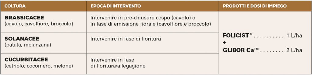 Cuore Cavo: 4 buone pratiche per la prevenzione